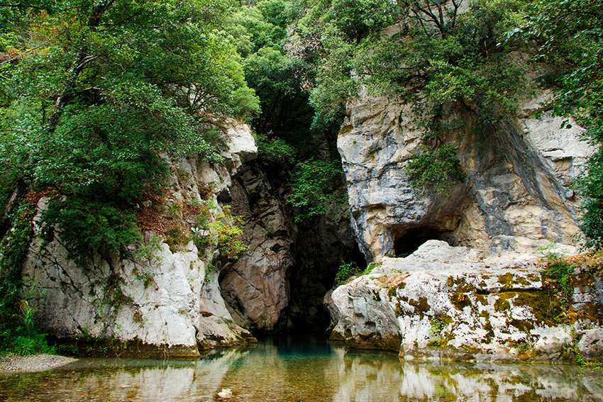 golesammaro